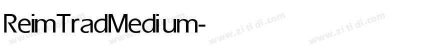 ReimTrad Medium字体转换